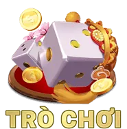 Ví Điện Tử Phổ Biến